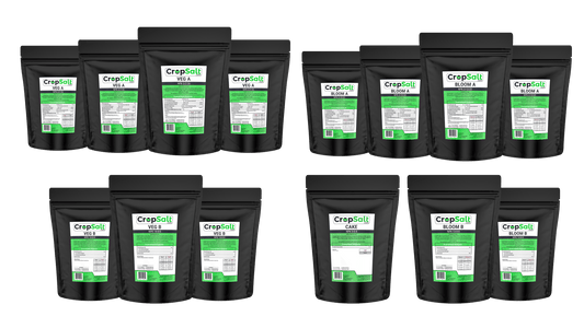 CS Consulting Cropsalt Medium Bundle