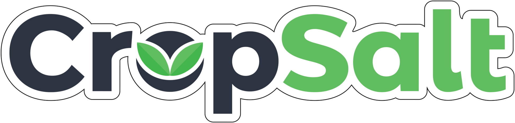 CS Consulting Cropsalt Slaps