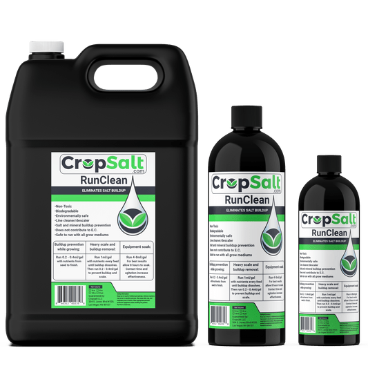 CS Consulting RunClean